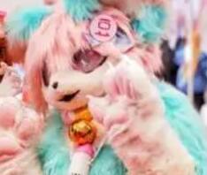 展會標題圖片：2023首屆中國(哈爾濱)國際動漫游戲博覽會